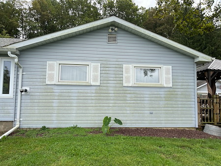 The Hidden Damage Mold and Algae Can Cause to Your Home’s Exterior